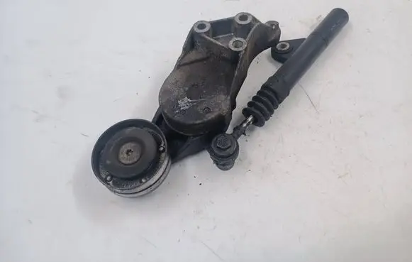 Seat Toledo II (1M) Generator/alternator belt tensioner 950434