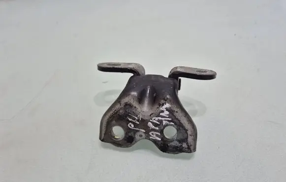 KIA Rio Front door lower hinge 