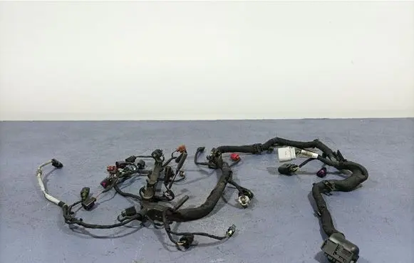 Other wiring loom