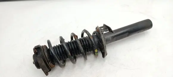 Volkswagen PASSAT B7 Front shock absorber/damper 317575