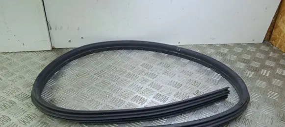 Volvo C70 Rubber seal front coupe door 31256242