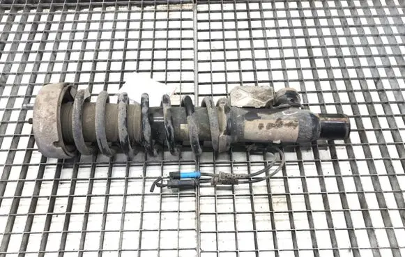 BMW X6 E71 Front shock absorber/damper 6785402