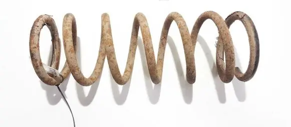 Rear coil spring