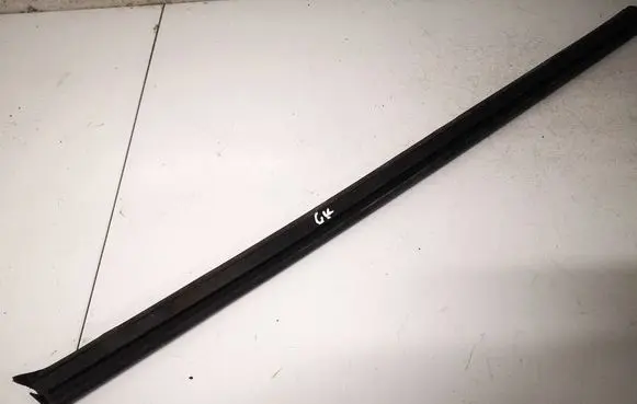 Ford Focus Rear door glass trim molding