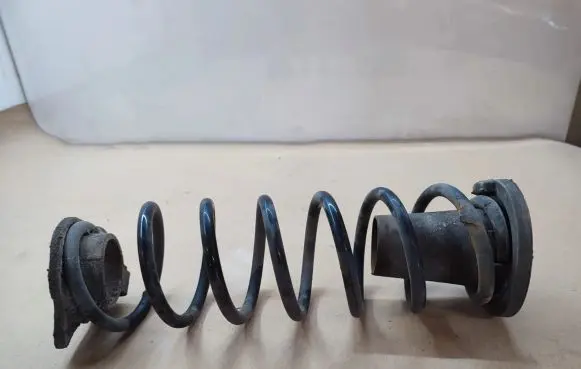 Rear coil spring