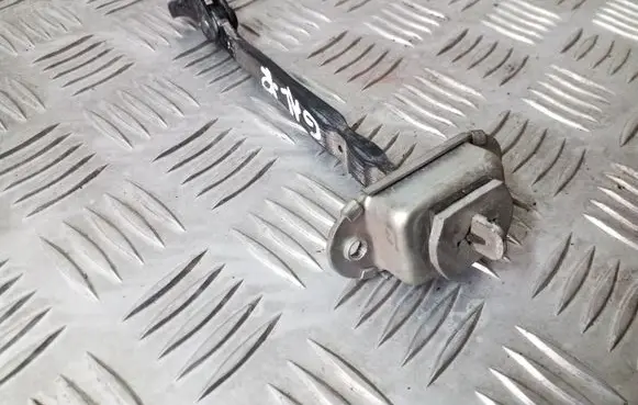Rear door check strap stopper
