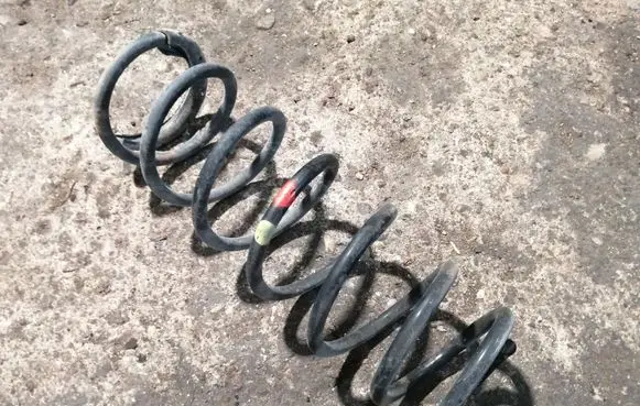 Rear coil spring