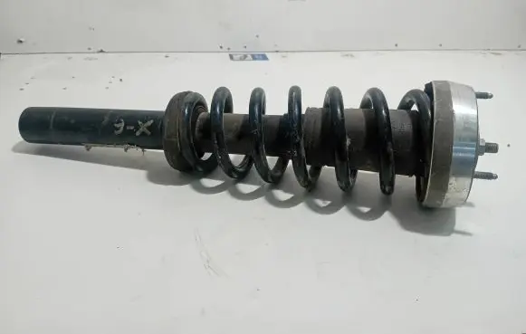 BMW X6 E71 Front shock absorber/damper 6783016