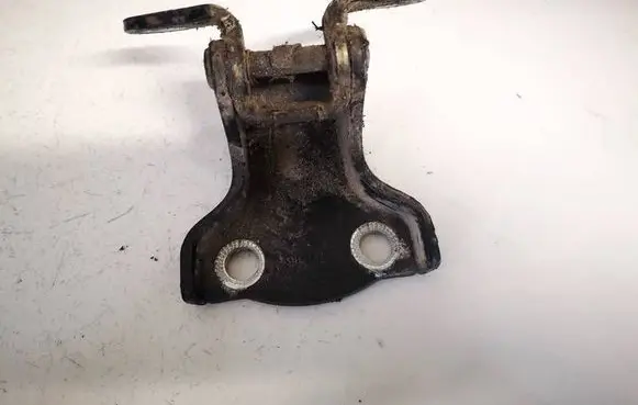 Rear door lower hinge