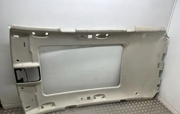 Volkswagen PASSAT B8 Headlining 3G9867501L