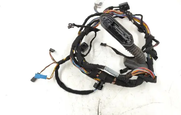 Front door wiring loom