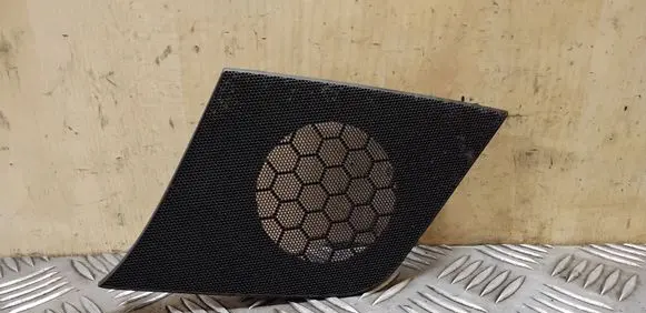 Side speaker trim/cover