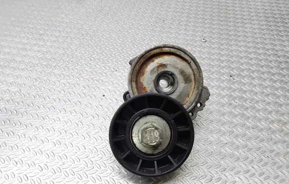 Citroen C8 Generator/alternator belt tensioner APV1114