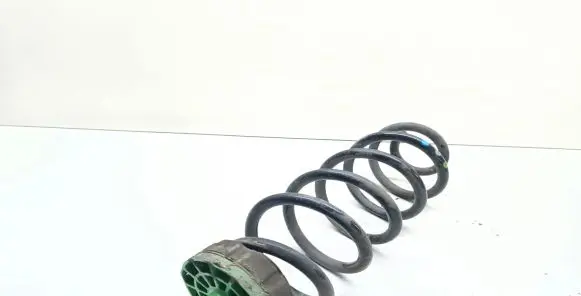Rear coil spring