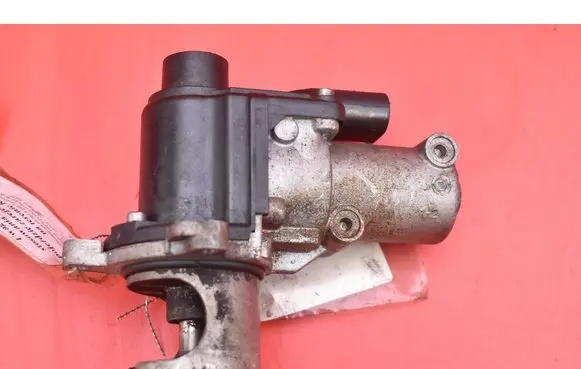 Porsche Cayenne (9PA) EGR valve 702132070