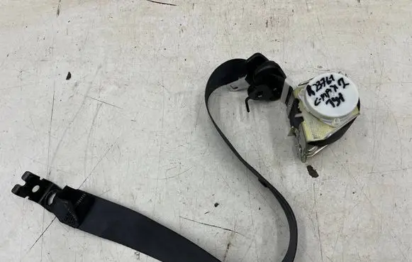 Ford C-MAX II Rear seatbelt AM51R611B68AG