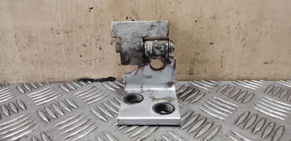BMW X5 E53 Rear door lower hinge 41528265169