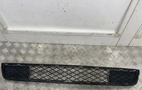 BMW X3 F25 Front bumper lower grill 7210465