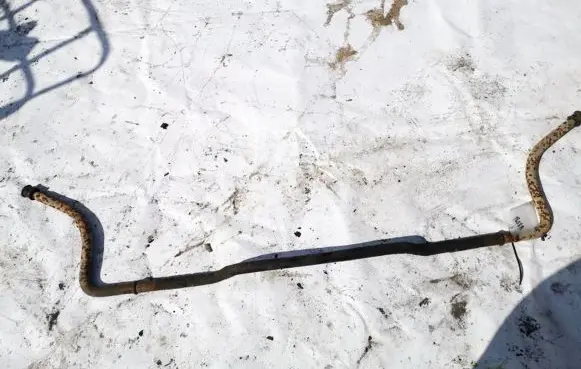 Mercedes-Benz Sprinter W901 W902 W903 W904 Front anti-roll bar/sway bar