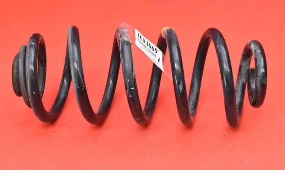 Rear coil spring