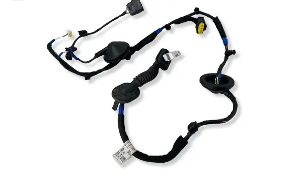 Hyundai i30 Rear door wiring loom 91660G4060