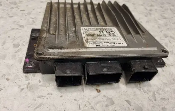 KIA Carnival Engine control unit/module 391024X520 82489991 R04100045R