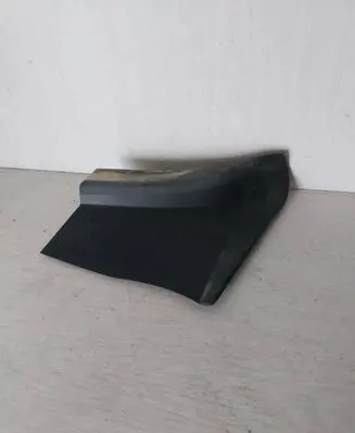 Rear/tail light trim molding