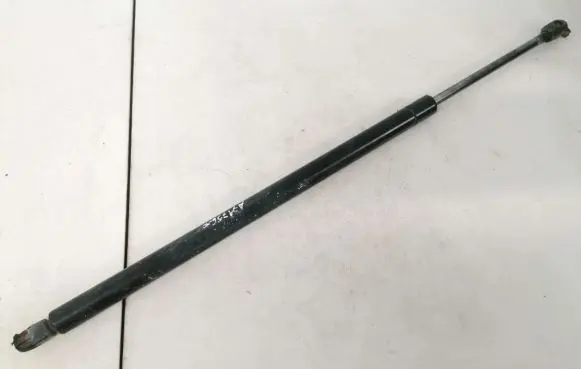 Chrysler Pacifica Tailgate/trunk strut/damper