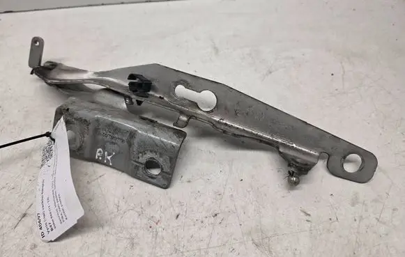 Volvo S60 Engine bonnet/hood hinges 30799178