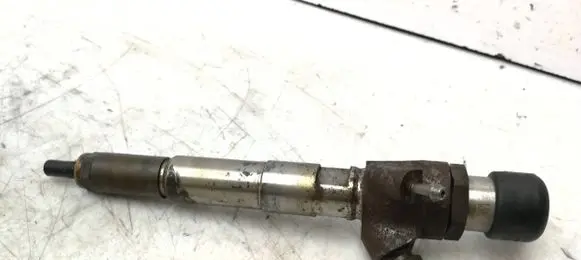 Renault Scenic III - Grand scenic III Fuel injector 166008052R 23947 H8200704191