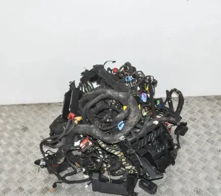 Audi A3 S3 8P Other wiring loom