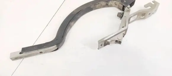 Tailgate/trunk/boot hinge