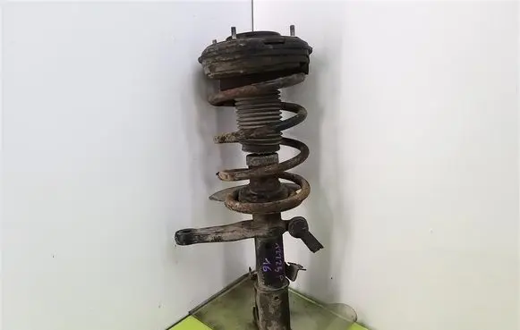 Chrysler 300M Front shock absorber with coil spring B716670FH