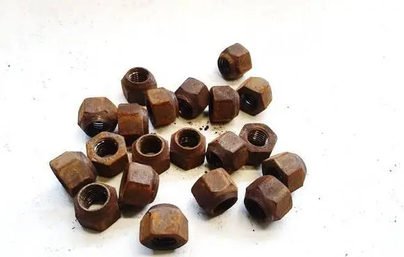 Ford Focus Nuts/bolts 