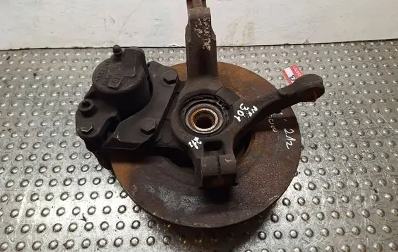 Renault Sandero I Front wheel hub spindle knuckle S25056301 6001548237