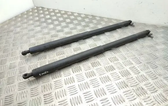 Opel Insignia A Tailgate/trunk strut/damper 13247949