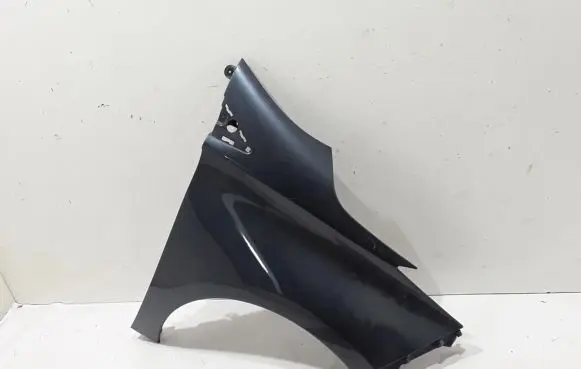 Renault Zoe Fender 631009208R