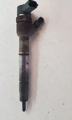 Citroen C5 Fuel injector 0445110188