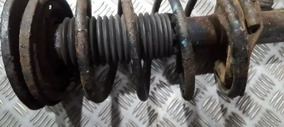 Front coil spring