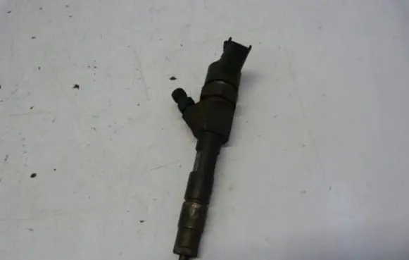 Renault Megane II Fuel injector 0445110021