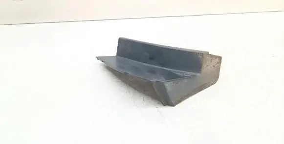Rear/tail light trim molding