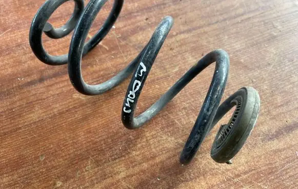 Rear coil spring
