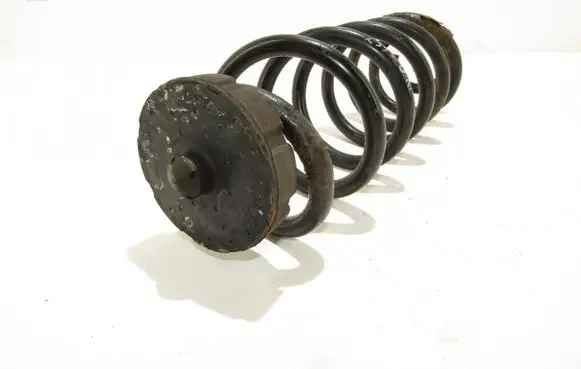 Audi Q5 SQ5 Rear coil spring
