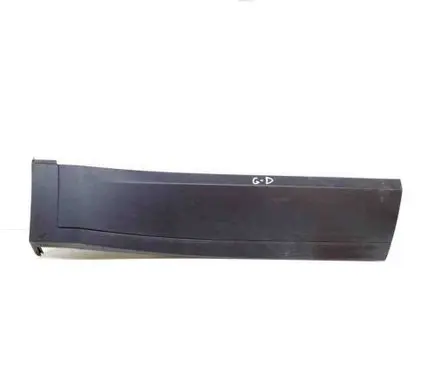 Rear door trim (molding)