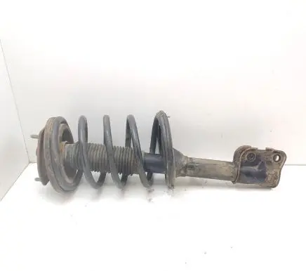Hyundai Santa Fe Front shock absorber with coil spring 339750