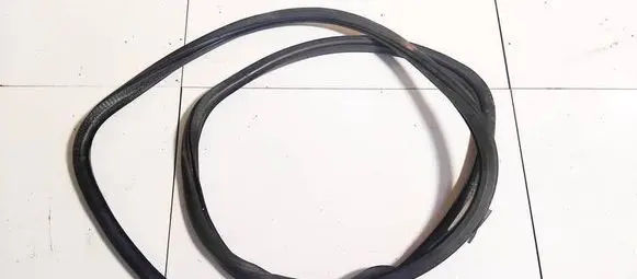 Volkswagen PASSAT B6 Rubber seal front coupe door 