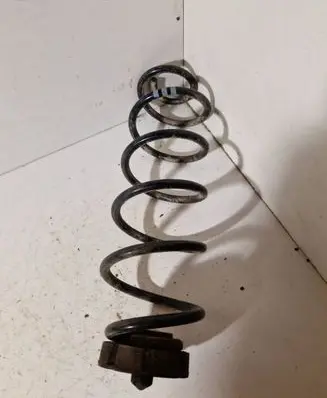 Rear coil spring