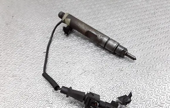 Seat Ibiza II (6k) Fuel injector 038130202B