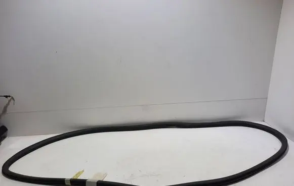 Citroen C4 Grand Picasso Rear door rubber seal (on body) 