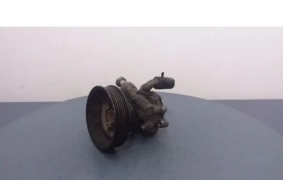 Volkswagen Golf IV Power steering pump 1J0422154B